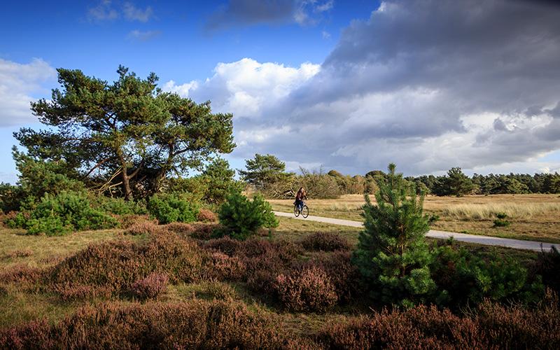 Nationaal Park Veluwezoom